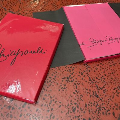 3 Pair Schiaparelli Nylon Stockings Boxed Set Color - Coffee Petite New Size 9